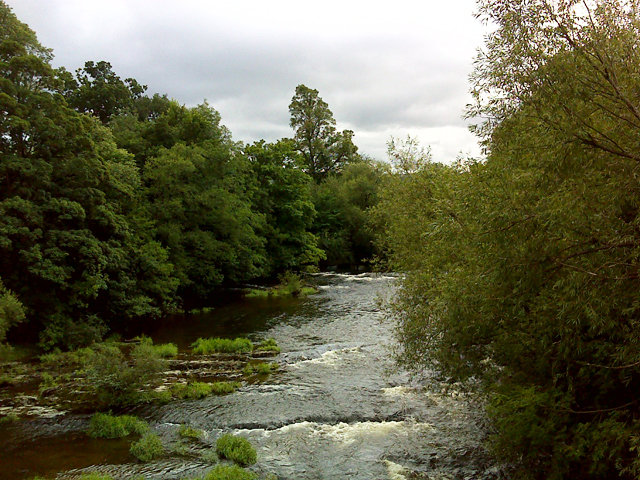 Dolerwbridge